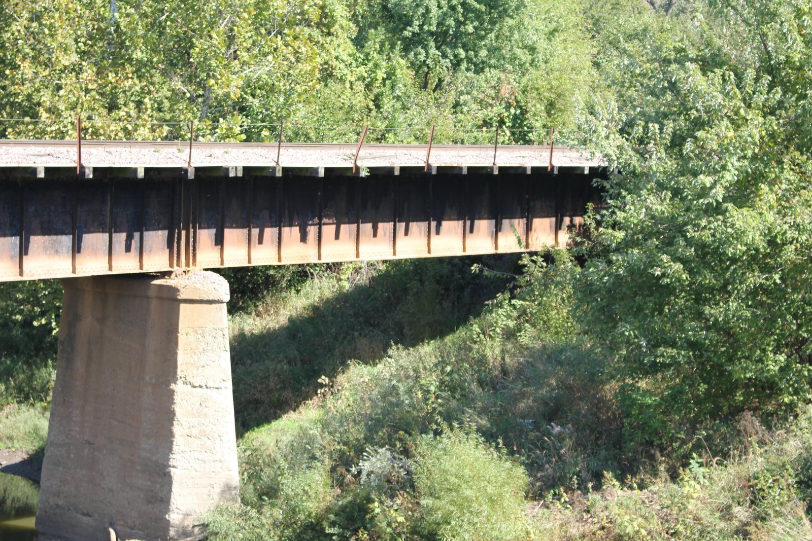 South span (span #1)
